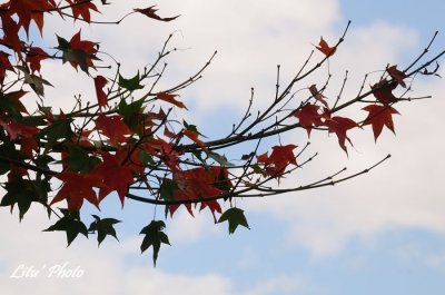 DSC_3380.jpg