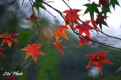 DSC_3469.jpg