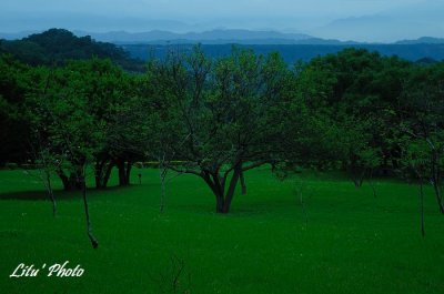 DSC_0125.jpg