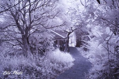 DSC_4732.jpg