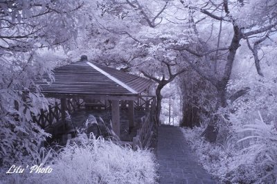 DSC_4733.jpg