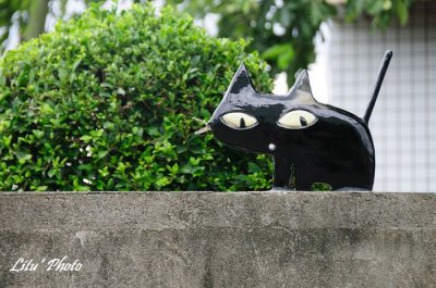 DSC_7211.jpg