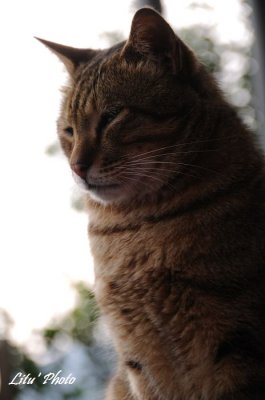 DSC_0473.jpg