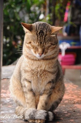 DSC_0481.jpg