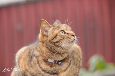 DSC_0493.jpg