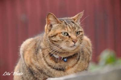 DSC_0494.jpg