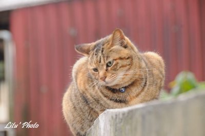 DSC_0497.jpg