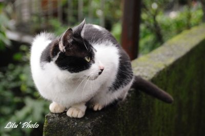 DSC_0520.jpg