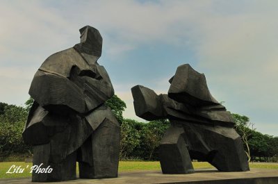 DSC_0802.jpg