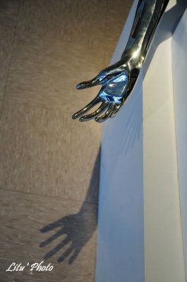 DSC_0893.jpg