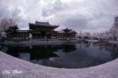 DSC_4877.jpg