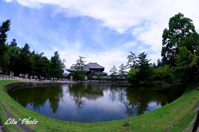 DSC_2778.jpg