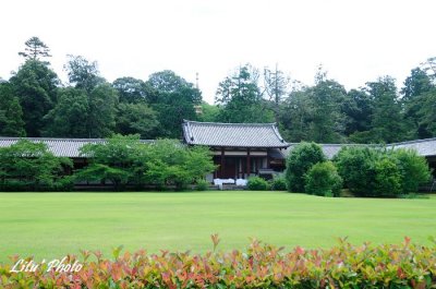 DSC_2821.jpg