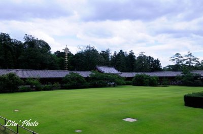 DSC_2897.jpg