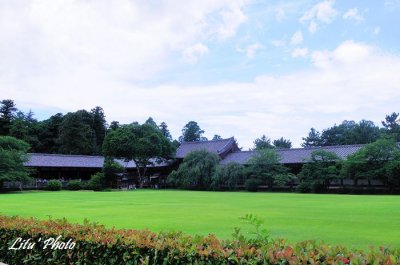 DSC_2898.jpg