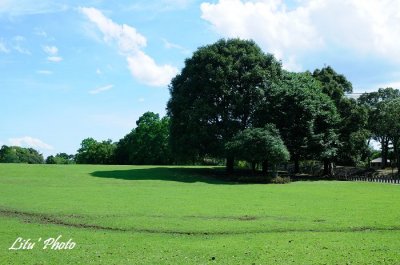 DSC_2984.jpg