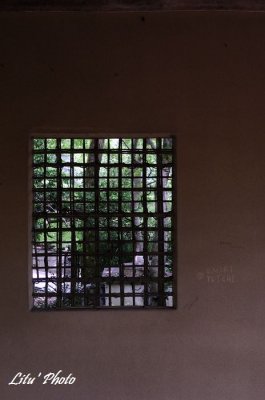 DSC_3122.jpg