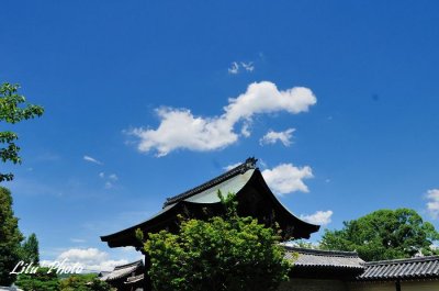 DSC_3180.jpg