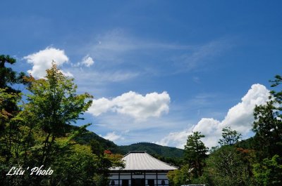 DSC_3182.jpg