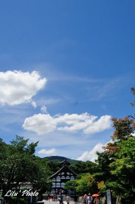 DSC_3183.jpg