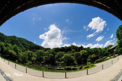 DSC_3196.jpg