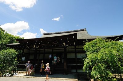 DSC_3201.jpg