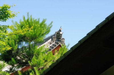 DSC_3226.jpg
