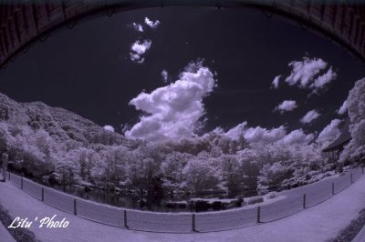DSC_4925.jpg
