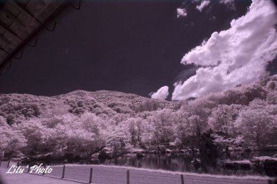 DSC_4930.jpg