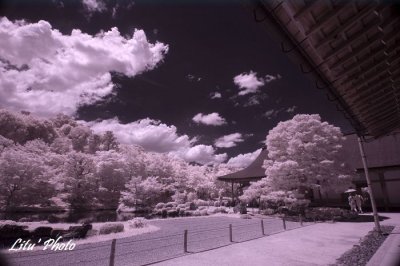 DSC_4932.jpg
