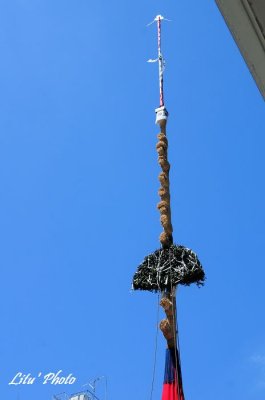 DSC_3648.jpg