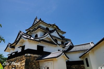 DSC_4150.jpg