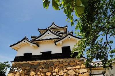 DSC_4153.jpg