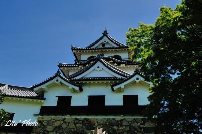 DSC_4241.jpg