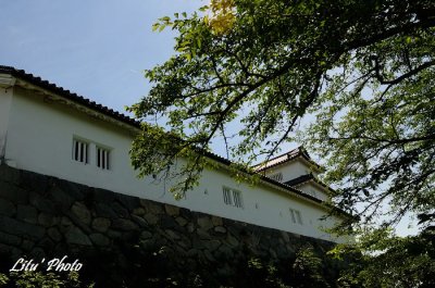 DSC_4285.jpg