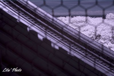 DSC_4962.jpg