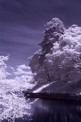 DSC_5025.jpg