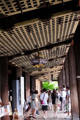 DSC_4518.jpg