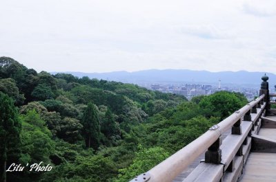 DSC_4533.jpg