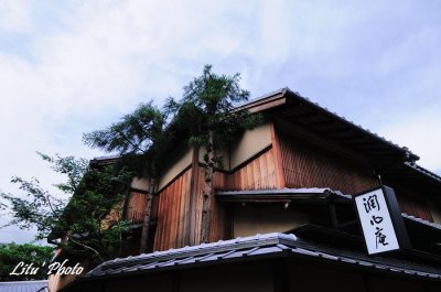 DSC_4656.jpg