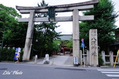 DSC_4672.jpg