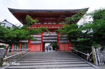 DSC_4682.jpg