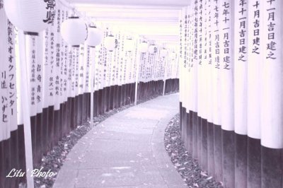 DSC_5058.jpg