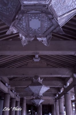 DSC_5083.jpg