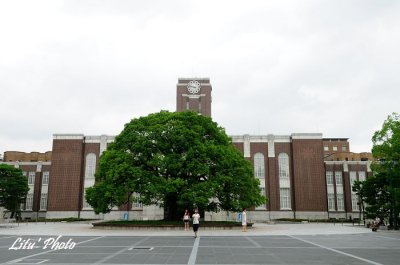 DSC_4811.jpg