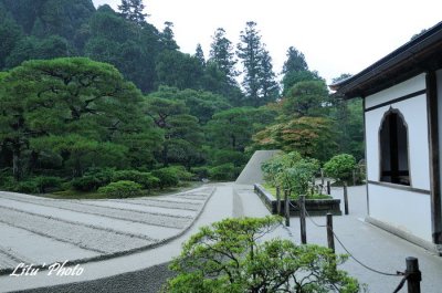 DSC_4851.jpg