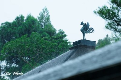 DSC_4895.jpg