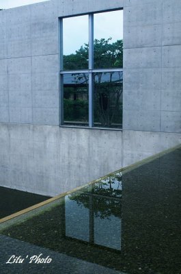 DSC_4925.jpg