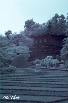 DSC_5134.jpg