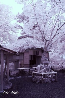 20120720__21